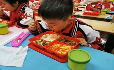 大学生在校实践报告7篇