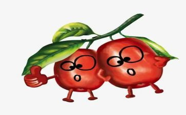 我爱红枣作文6篇