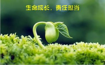 担当与责任的作文最新5篇