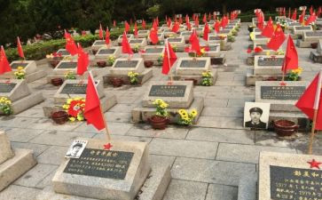 张从顺·张子权先进事迹材料参考5篇