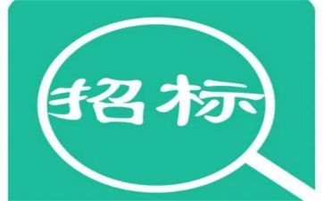 招标办述职报告5篇