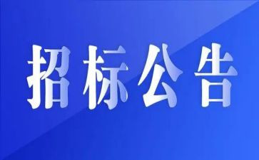 招标后工作总结8篇