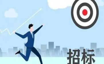 招标类工作总结最新6篇