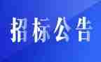 招标后工作总结8篇