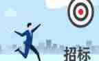 招标类工作总结最新6篇