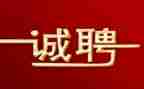 对招聘的心得体会8篇