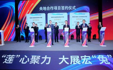 招投标工作的年度总结7篇