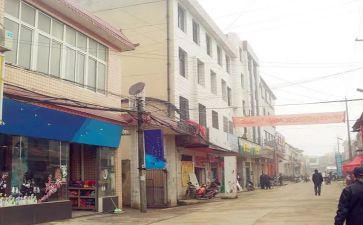 镇农业办安全生产工作总结5篇