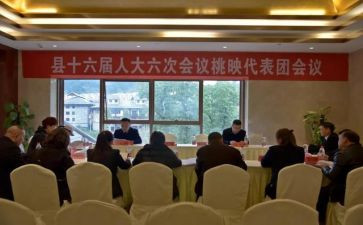 镇代表述职报告8篇