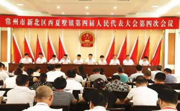 镇代表述职报告参考8篇