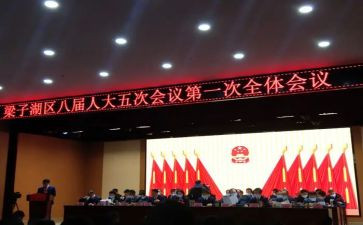 镇代表述职报告最新6篇