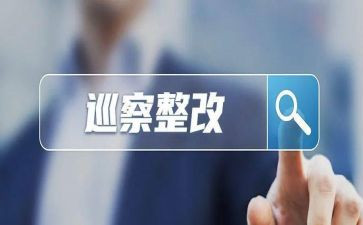 镇巡查整改报告6篇