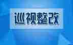 党员整改承诺书5篇