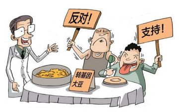 争论的作文500字8篇