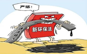 环境整治月总结优秀7篇
