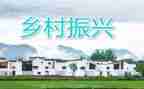 镇乡村振兴调研报告8篇