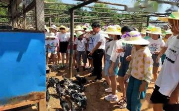 乡镇职工作总结优秀8篇
