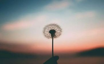 我敬佩这样的人作文7篇