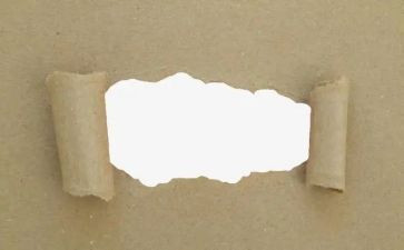 剪纸展活动方案7篇