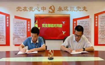 企业2024年党支部述职报告5篇