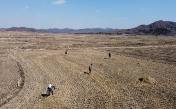 综合治理2022工作计划8篇