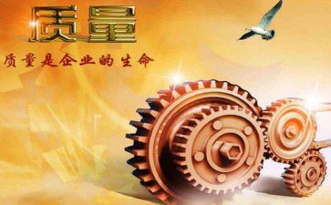 抓质量工作总结8篇