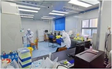 年质量工作总结精选6篇