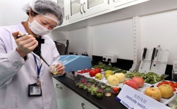 半年度质量工作总结模板8篇