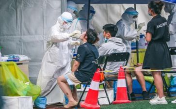 技术质量部述职报告6篇