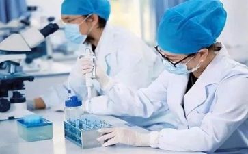 质量部月工作计划7篇