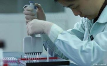年质量工作总结最新6篇