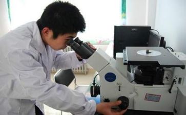 2024年质量安全工作总结推荐6篇