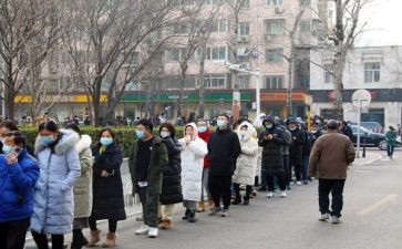 秩序员述职报告5篇