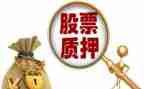 反担保合同与质押合同模板8篇