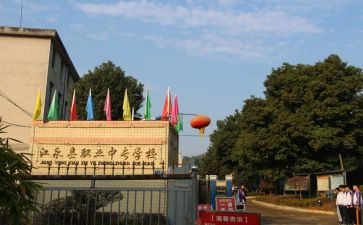 述职中工作总结推荐7篇