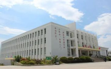 述职中工作总结8篇