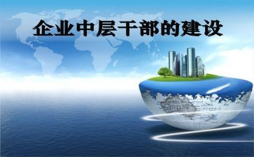 2024年中层干部述职报告精选8篇