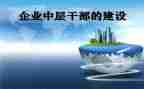 2024年中层干部述职报告精选8篇