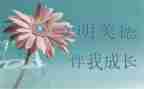 中华美德的演讲稿5篇