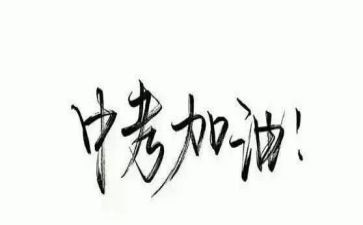 感悟类中考作文5篇