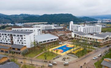 中心校副校长述职报告5篇