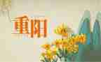 重阳节经厉作文500字8篇