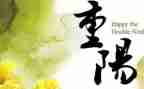 重阳节作文800字6篇