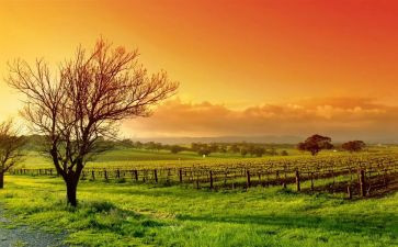 高中一学期个人总结5篇