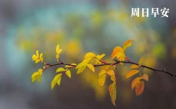 周末作文400字最新8篇
