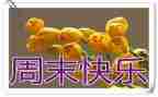 我周末小作文优质6篇