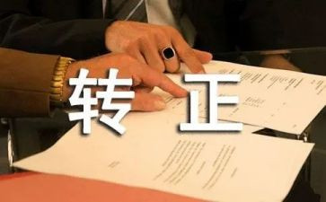 转正单工作总结优秀6篇