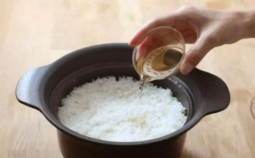 煮饭的我作文600字8篇