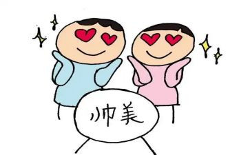 追星的弊作文最新8篇