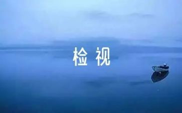 实验室自检自查报告6篇